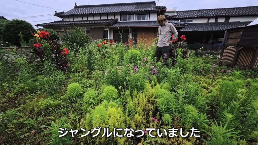 気付けば庭がジャングルになっていました
