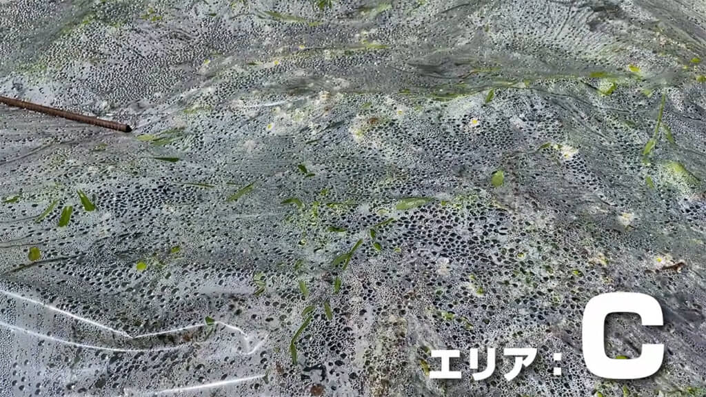 ビニールの内側には水滴が付着していました