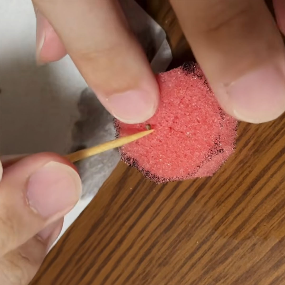 100均スポンジに種をまき、ペットボトルにセットしたら…… あれよあれよの“大収穫”に「参考にさせて」(1/3) | ライフハック ねとらぼ