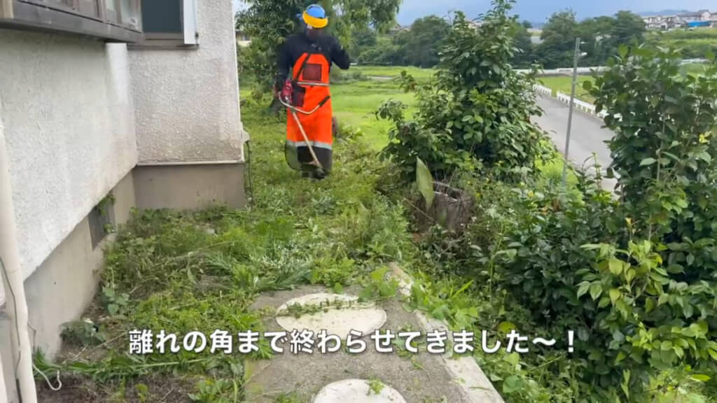この日はただ草刈りをする予定でしたが……