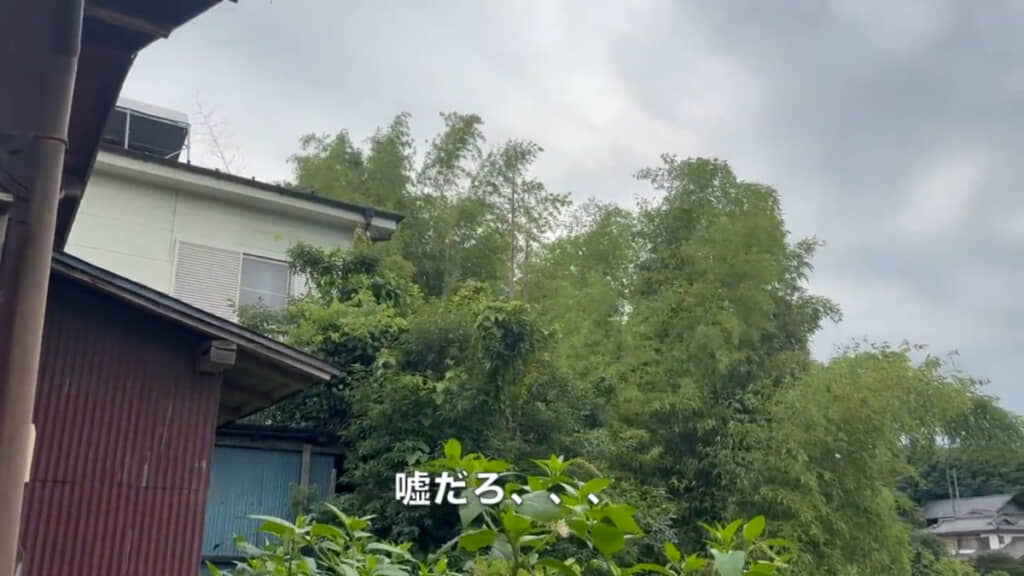 ショックすぎる光景を目撃してしまいました