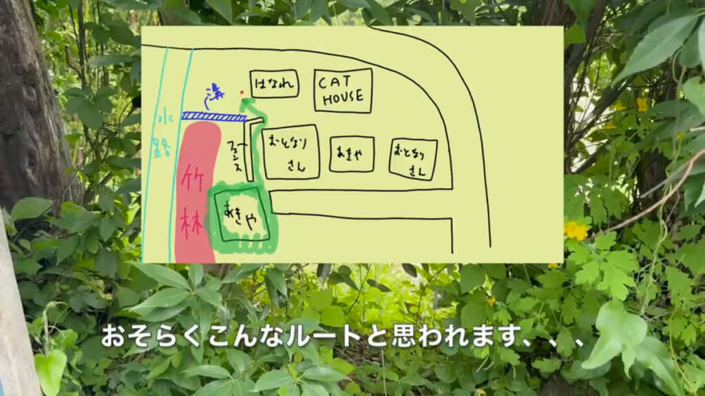 離れの隣にある赤丸部分が今回生えてきた竹の位置。ルート(緑色)は予想ですが、可能性は高そうです