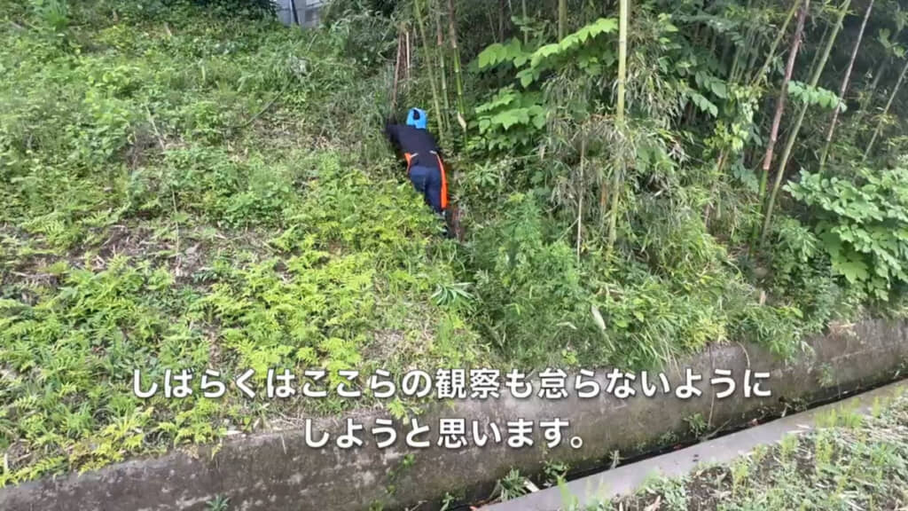 80センチの深さの溝もチェックして竹を切っていきます
