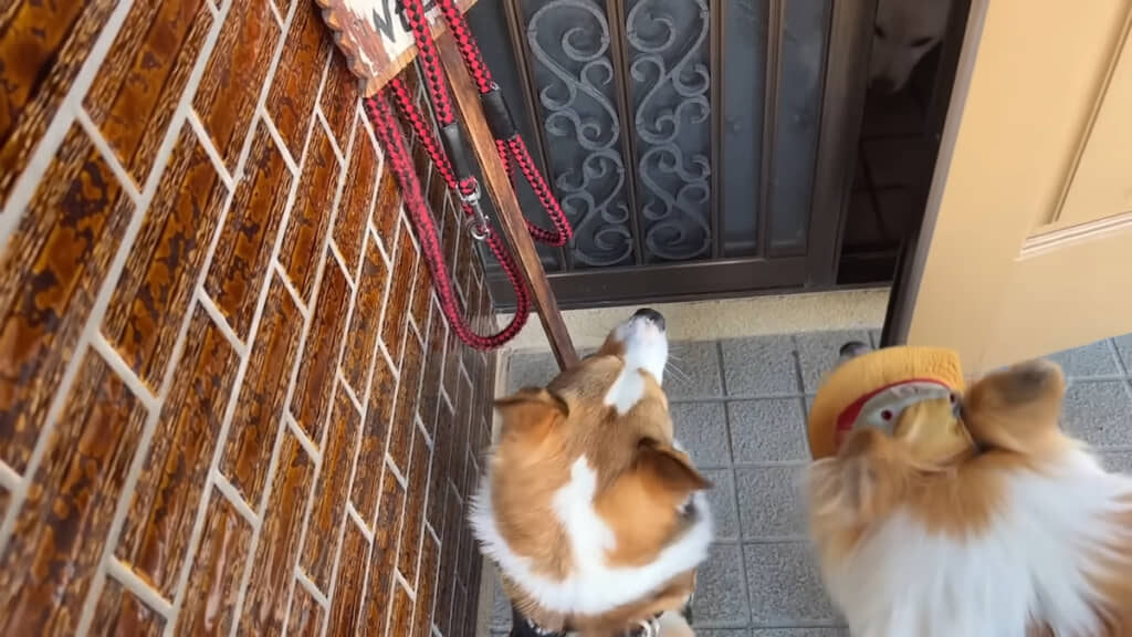 大好きな“じいちゃん家”へ