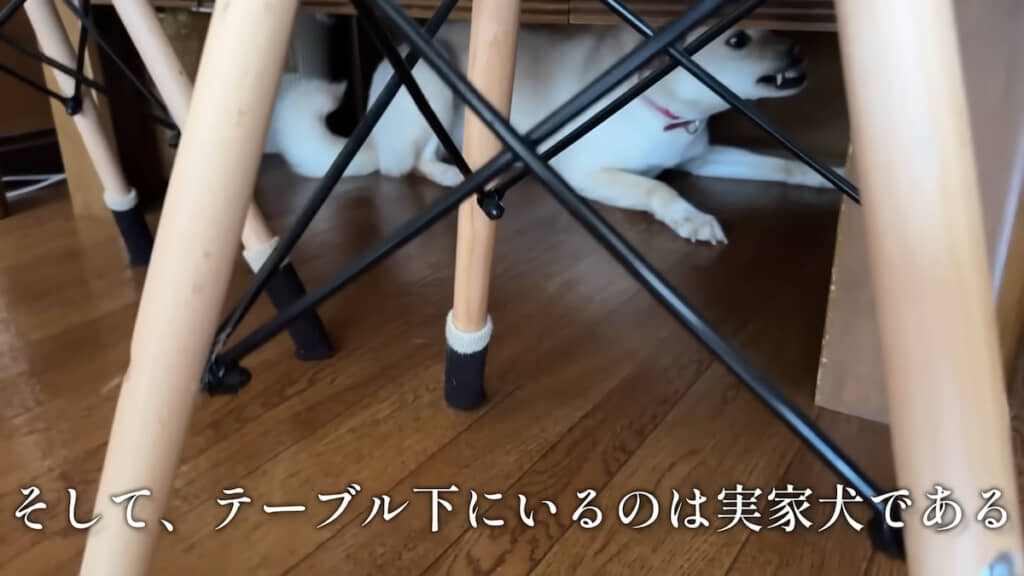 “じいちゃん家”の愛犬・みゆちゃん