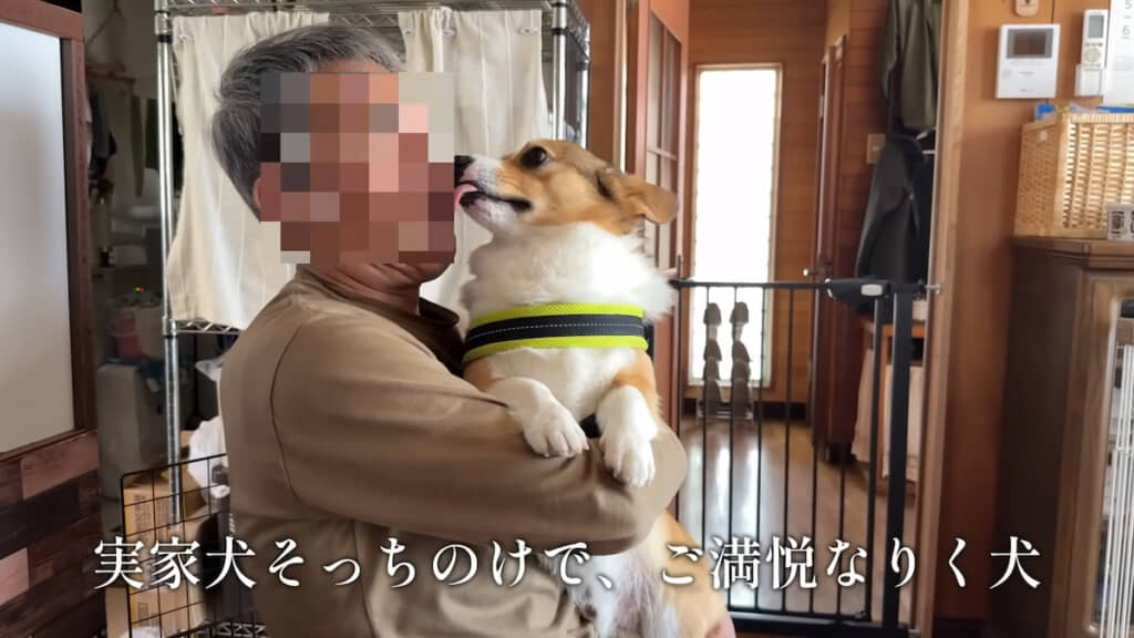 おじいちゃんに抱っこされてご機嫌なりくまるくん