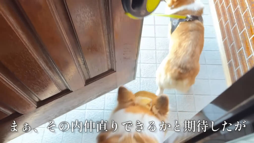 短時間で終わった“じいちゃん家”の滞在