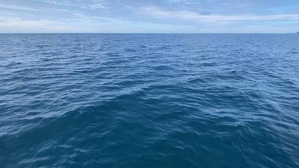 沖の海中に潜っていきます