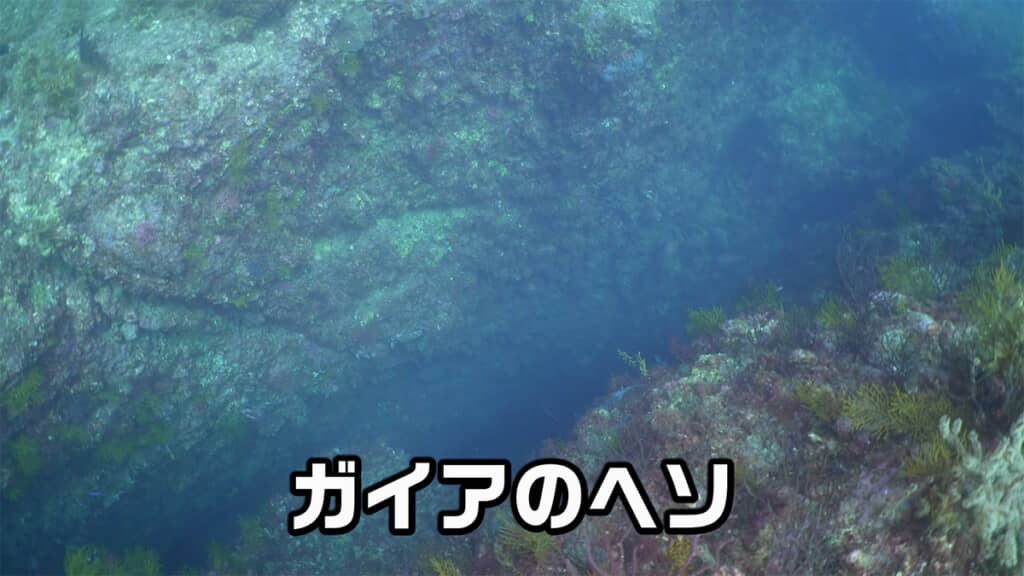 岩には大きな穴が