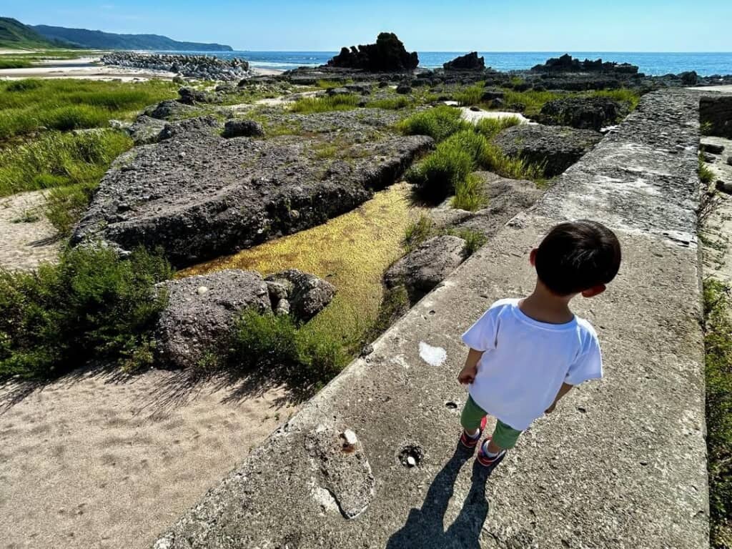 地面が隆起して陸地となった2026年の自宅前