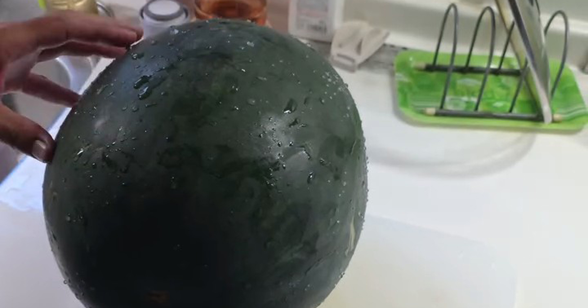 「カラスに食べられる前に」と収穫したスイカ→切ったら……　目を疑う中身が350万再生「声出ました」「そんなことあるんや」（1/2） | ライフスタイル ねとらぼ