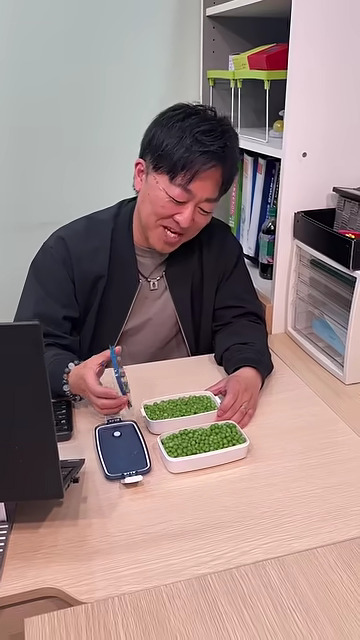 まさかのグリンピース弁当！