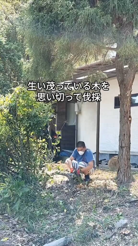 庭の木々を伐採するむらまつ夫婦