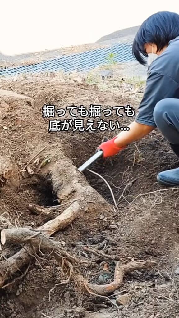 根が深すぎて、底が見つからない!