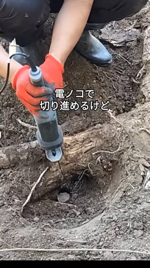 電動ノコギリを導入して作業性アップを期待