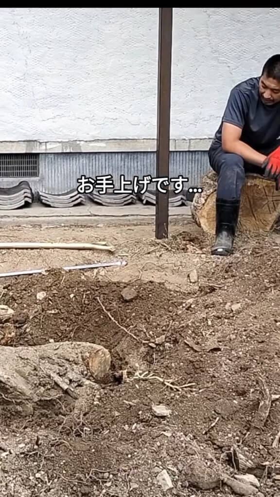 根が深すぎて人力での抜根は諦めた