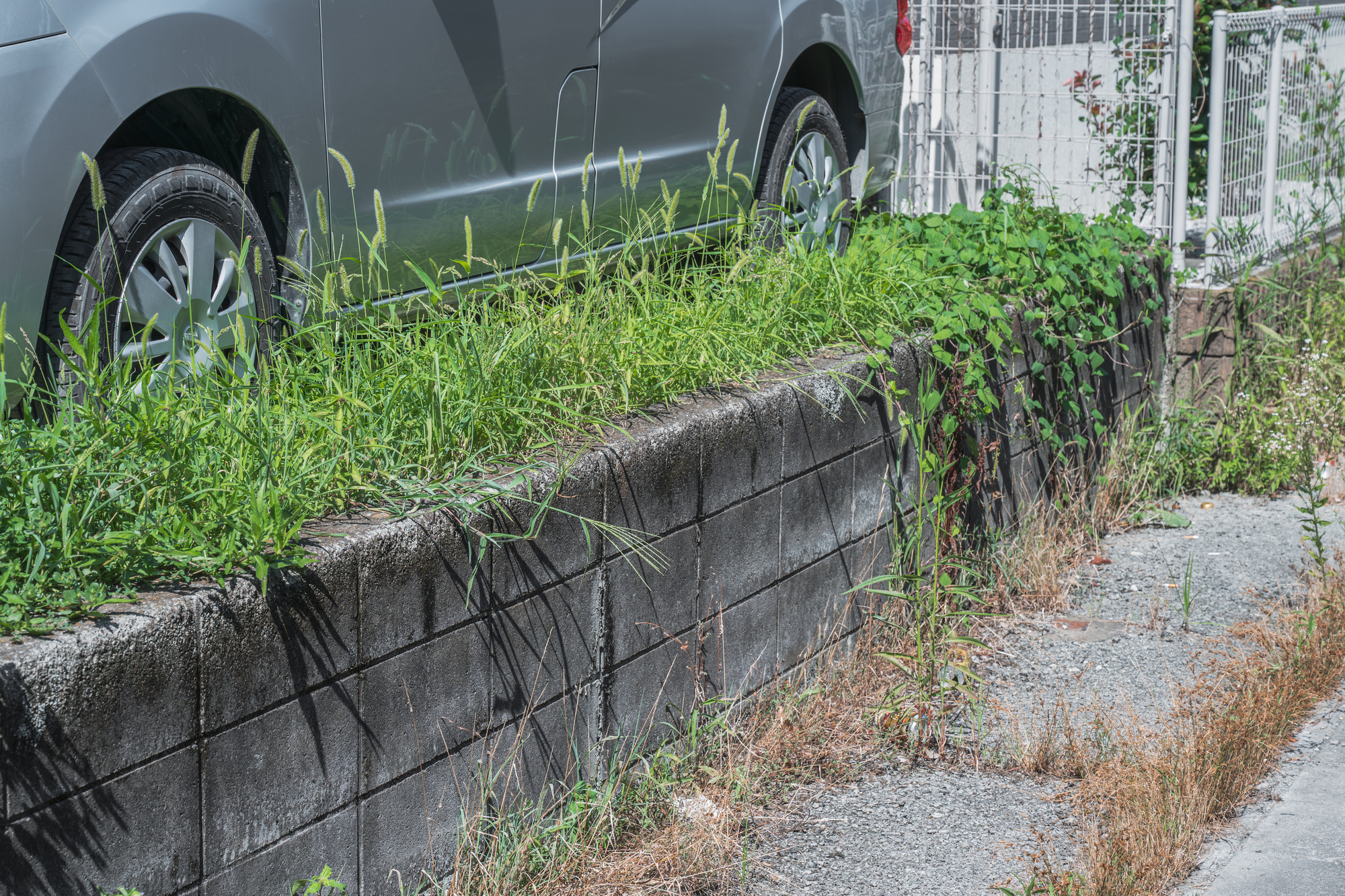 「15袋購入」「雑草が生えなくなりました」 アイリスオーヤマの“防草砂”に「砂をまいて水まくだけ。手軽すぎる!」「本当に楽になりました」の声(1/2) | ライフ ねとらぼリサーチ