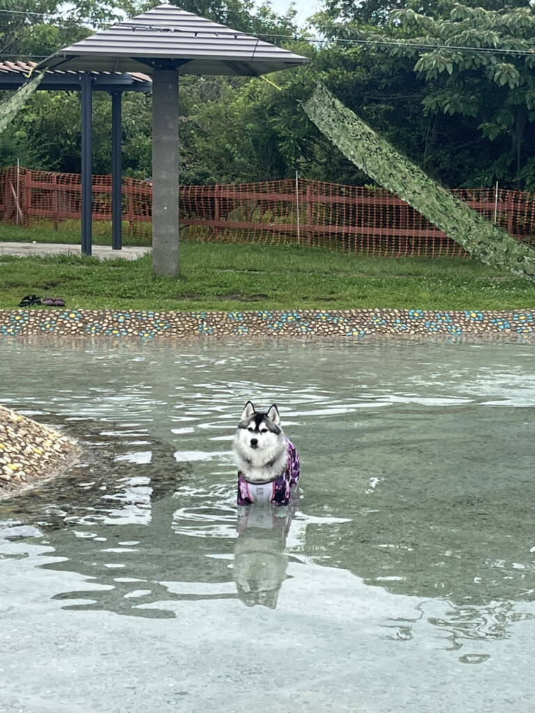 圧がすごい