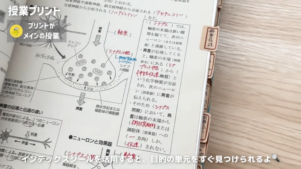増えたプリントはアーカイブ用のバインダーへ