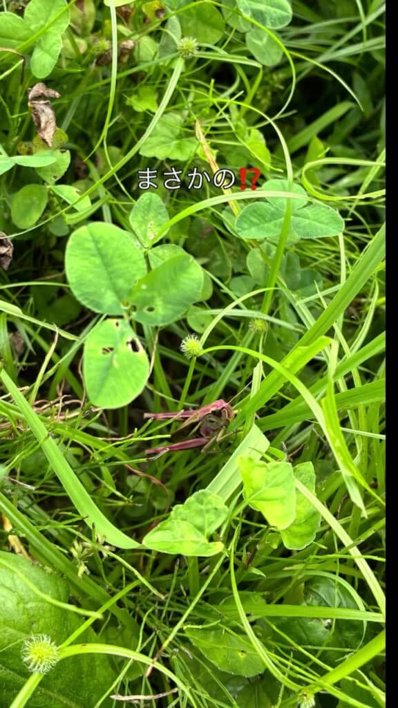 2週間後、まさかの展開