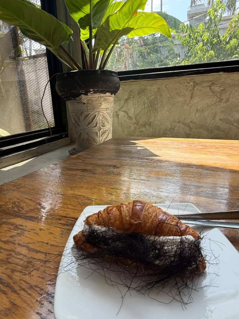 毛がはさまってるように見えるクロワッサン(もっと引き)