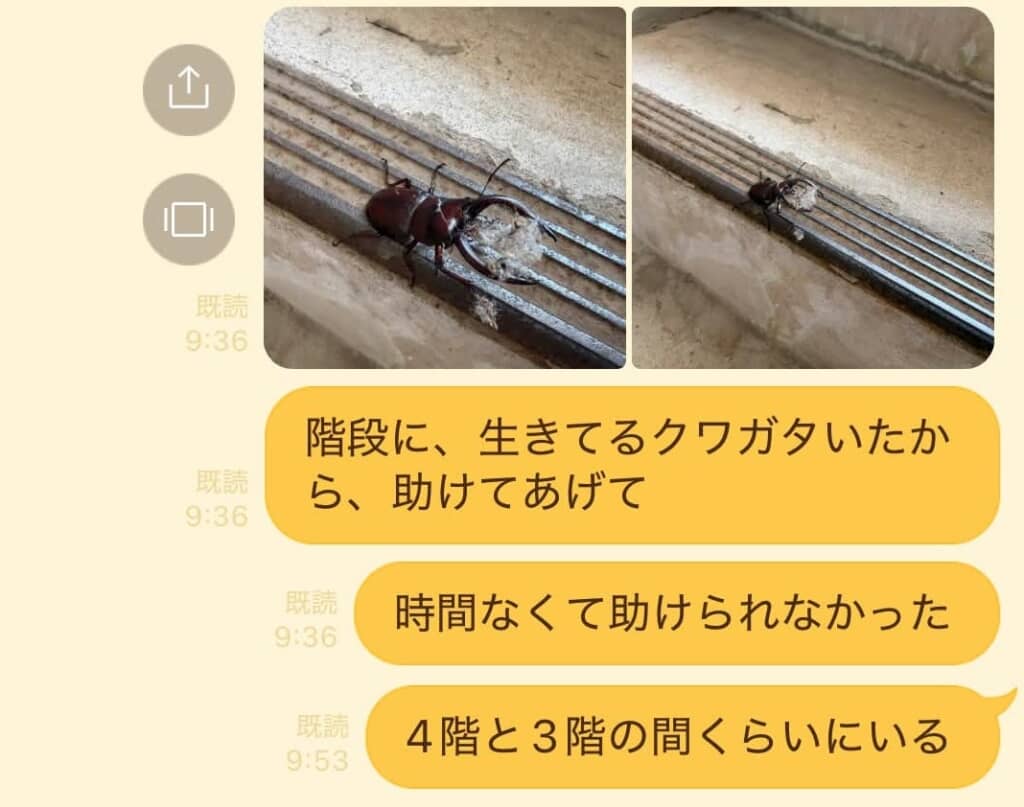 関水さんが結婚して良かったと思った瞬間とは？