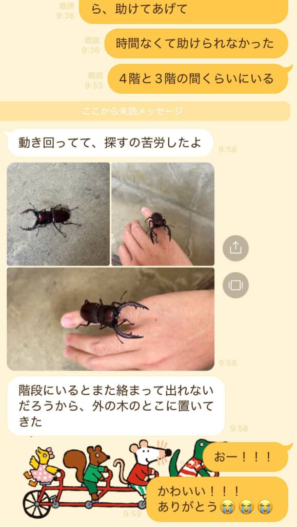 クワガタは無事外へ