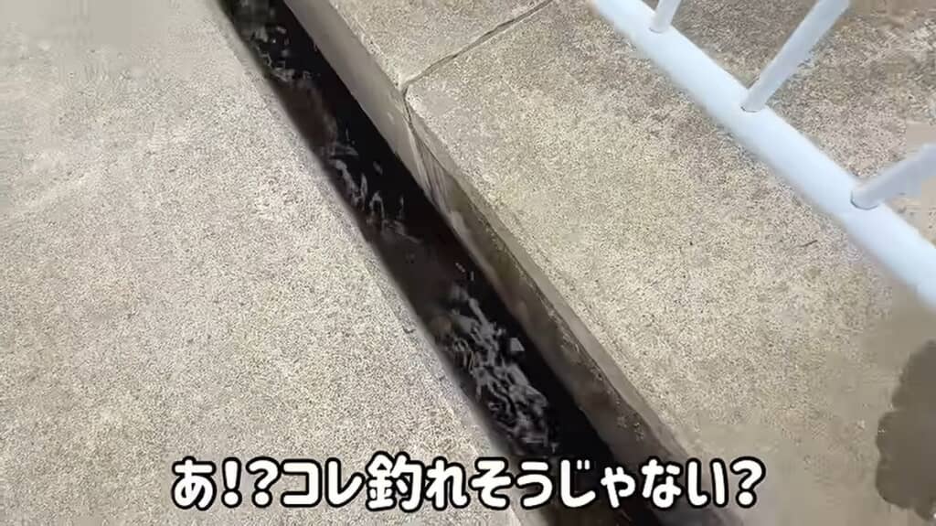 移動中に発見した道路脇の隙間