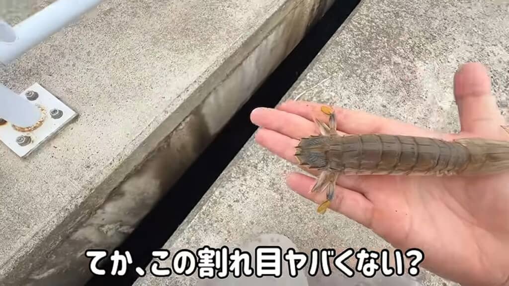 シャコがたくさん釣れる隙間