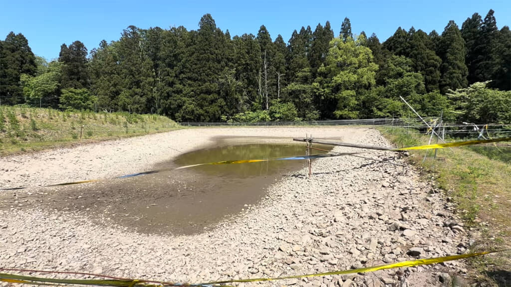 野池の水を全部抜いていきます