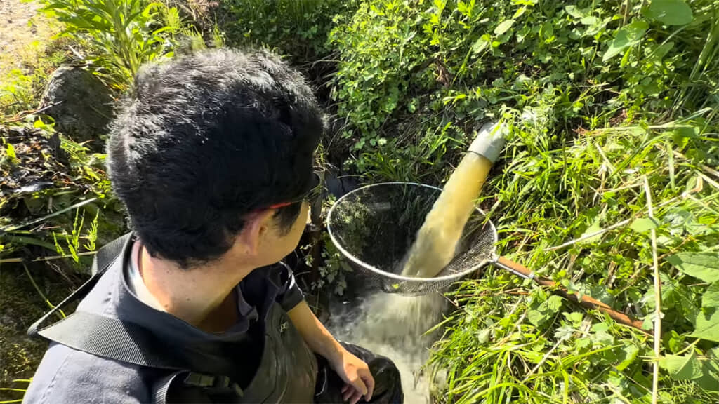 野池の水が流れるパイプ下に網をセット