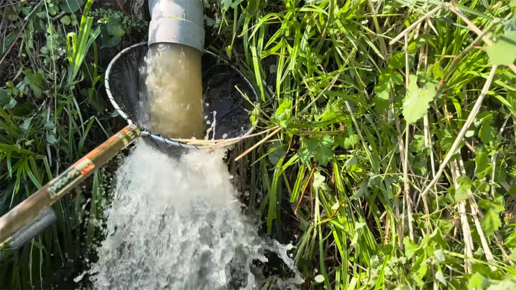 水の勢いがすさまじい