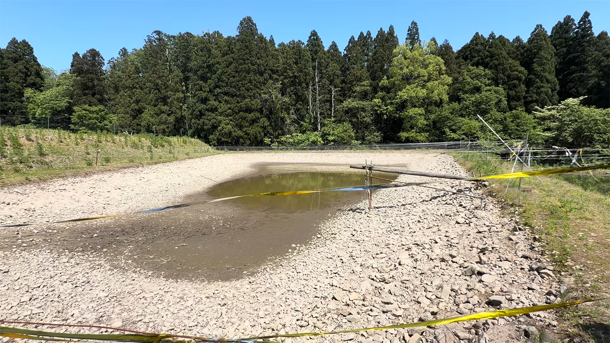 底が見えない濁った野池→水を抜いたら……　パイプからドバドバ流れ出す“人気者”に「やばいやばい」「大量すぎる」（1/3） | その他生き物 ねとらぼ