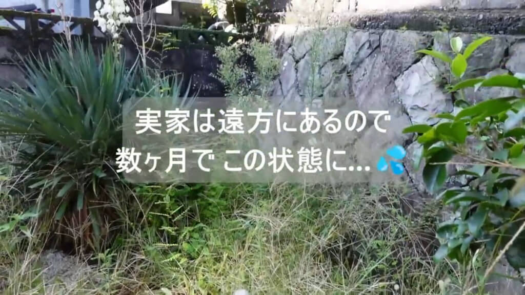 数カ月で雑草だらけになってしまう実家の庭
