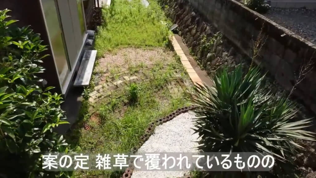 7カ月後の庭を上から見た様子