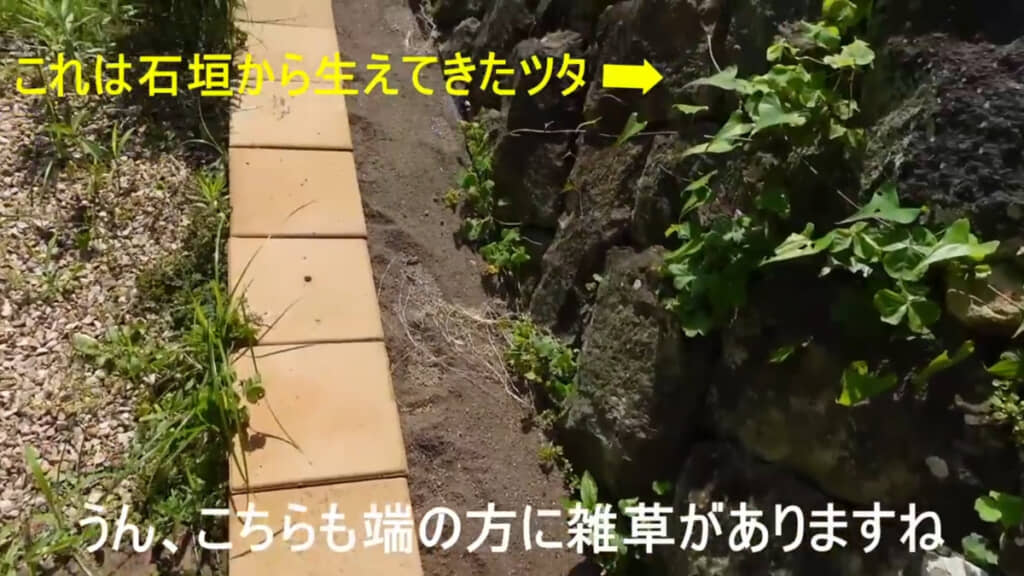防草シート＆人工砂で対策した場所。端のすき間から生えてきてしまいましたが、しっかり施工すれば抑えられそうでした