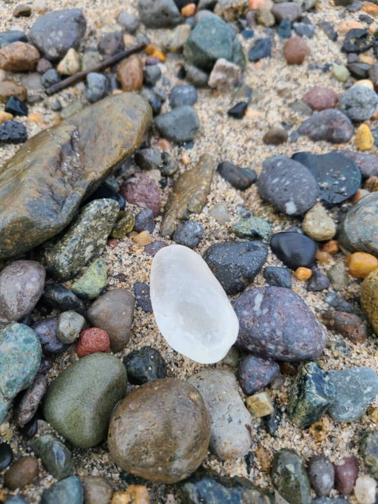 浜辺で見つけたきれいな石