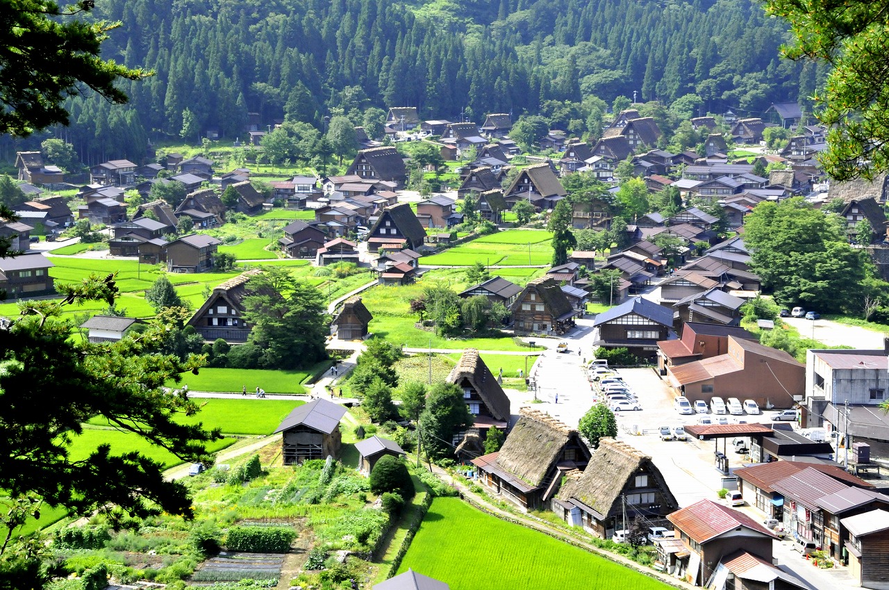 「もったいなくて食べれない…」 岐阜県の“入手困難な銘菓”に「食べる現代アートのよう」「今日は眺めるだけにしよ」「こんなお菓子があるなんて!」の声(1/2) | お菓子 ねとらぼリサーチ