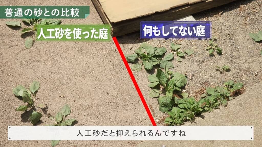 人工砂と通常砂のエリアの境目
