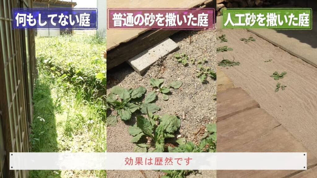 何もしていない庭と通常の砂をまいた庭、人工砂をまいた庭