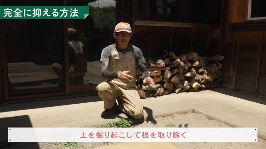 より丁寧に土を掘り起こし、入念に根を取り除くのが良いと解説
