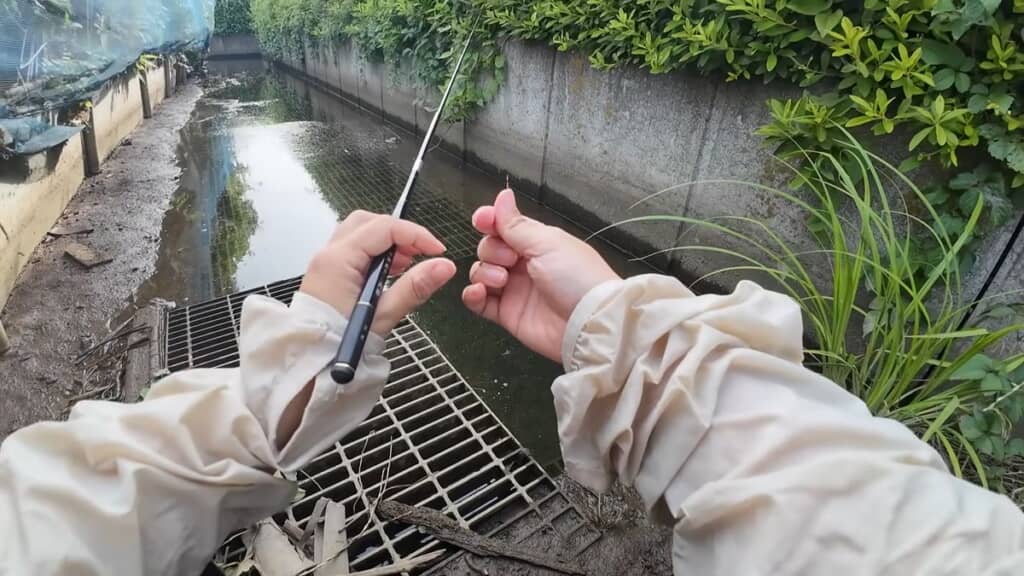 何度もトライする投稿者
