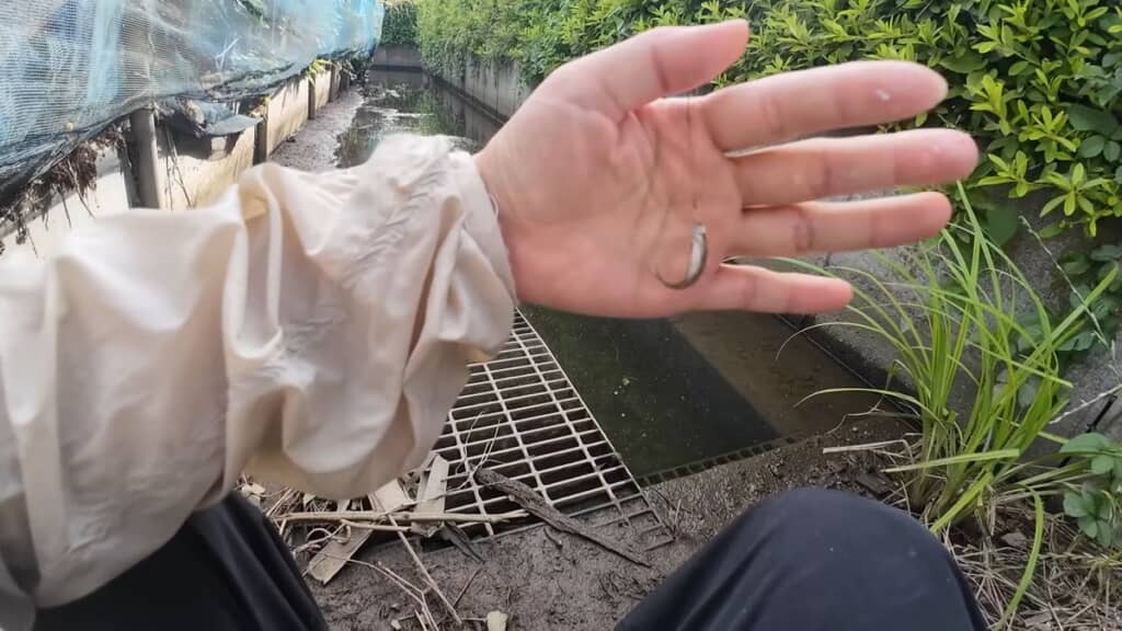 1匹目を釣り上げた投稿者