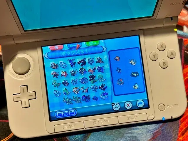 残されたセーブデータのポケモンをチェックしてみると……