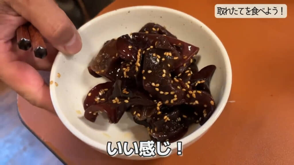 醤油とごまで和えたシンプルな料理が完成