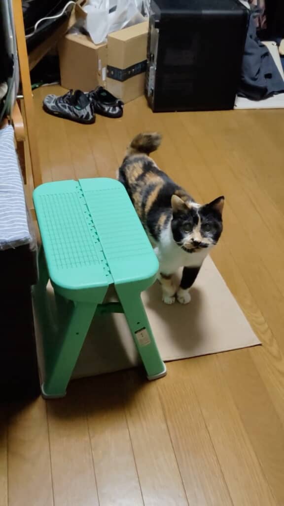 21歳の民代ちゃん
