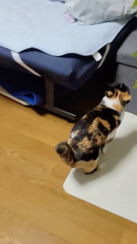助走をつけて……
