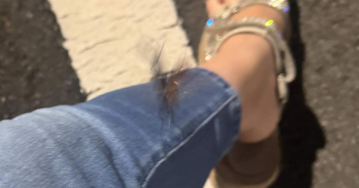 銭湯帰りの女性→ゴキブリがぶつかってきたと思ったら……「えっ」　まさかの正体に「すごい奇跡ですね」「テンション上がる」（1/2） | その他生き物 ねとらぼ