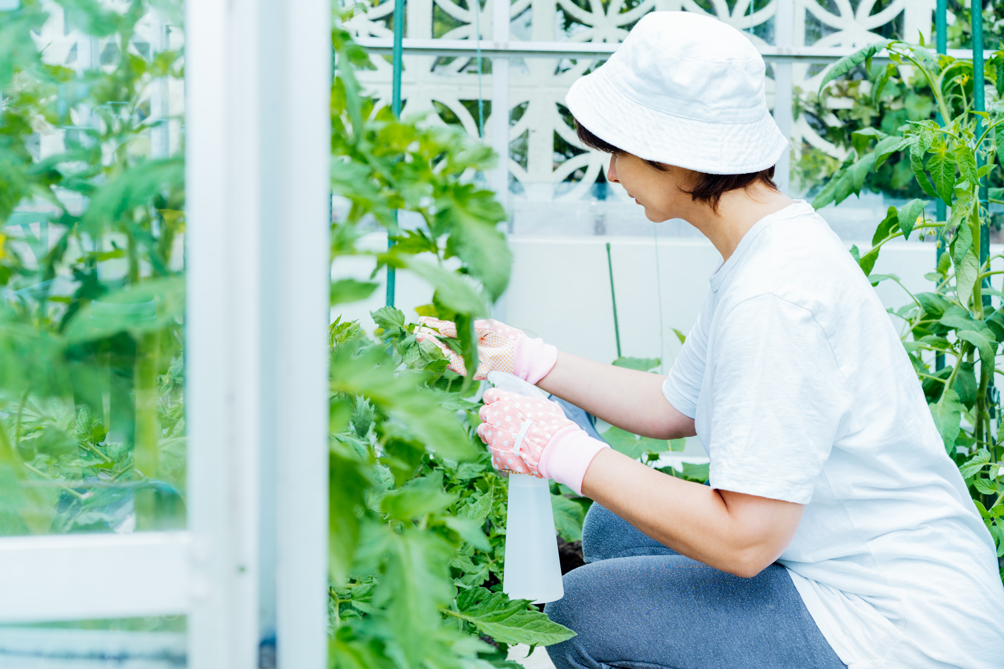 「効果抜群で何年も使っています」 KINCHO(キンチョー)の“殺虫スプレー”が1760円→1300円! 「害虫がいなくなりました」「重宝しています」(1/2) | ライフ ねとらぼリサーチ