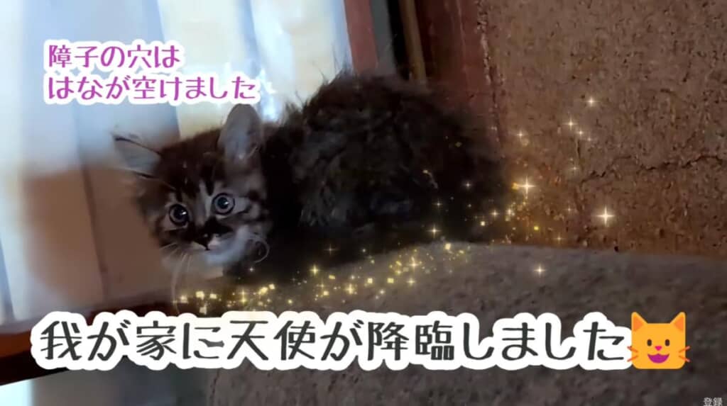 お家に天使が降臨